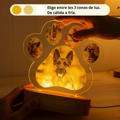 💛 Homenaje Iluminado Personalizado para tu Mascota