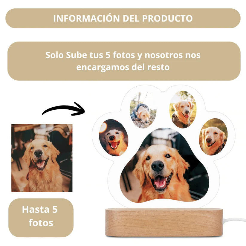💛 Homenaje Iluminado Personalizado para tu Mascota