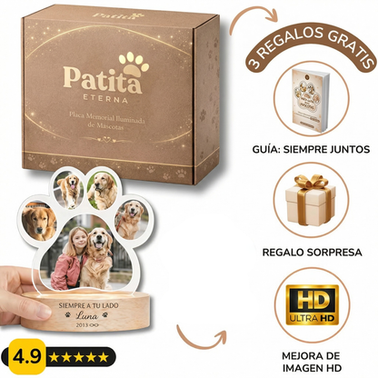 💛 Homenaje Iluminado Personalizado para tu Mascota