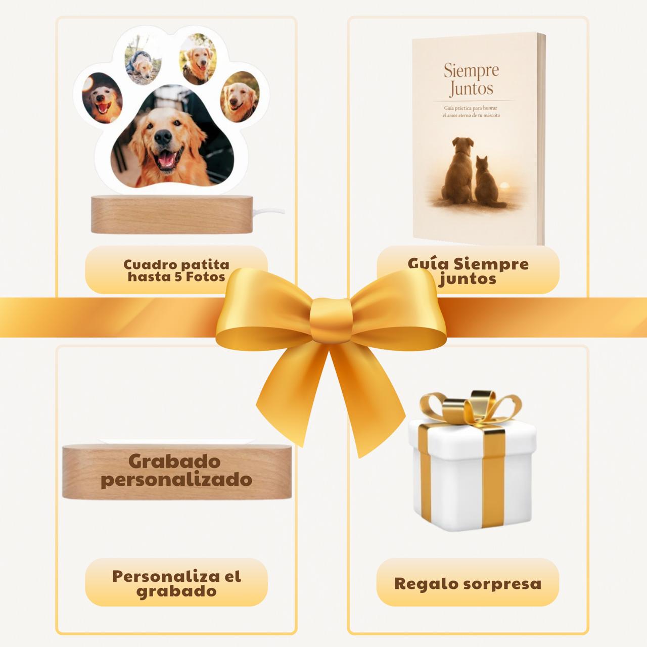 💛 Homenaje Iluminado Personalizado para tu Mascota